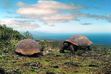 Ecuador-Galapagos-Three Islands Hopper - Darwin's Triangle